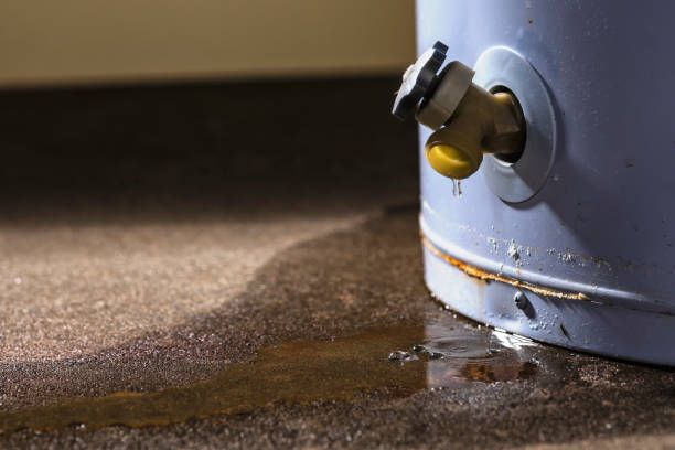 Best Local water damage restoration  in Whispering Pines, NC
