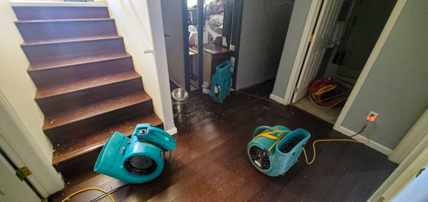 Best 24/7 water damage repair  in Whispering Pines, NC