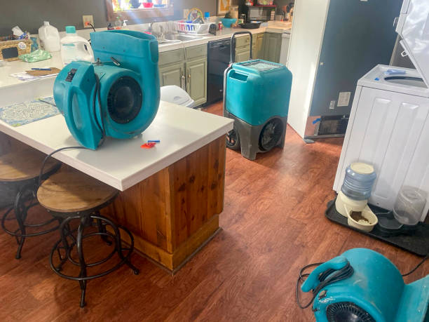 Best Water damage contractors near me  in Whispering Pines, NC