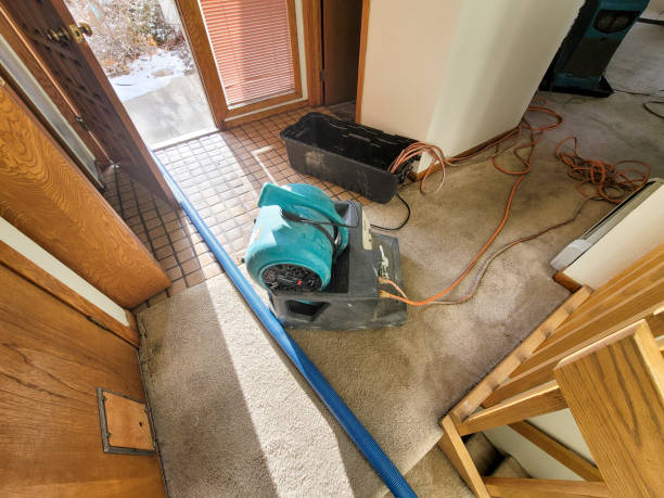 Best Carpet water damage restoration  in Whispering Pines, NC