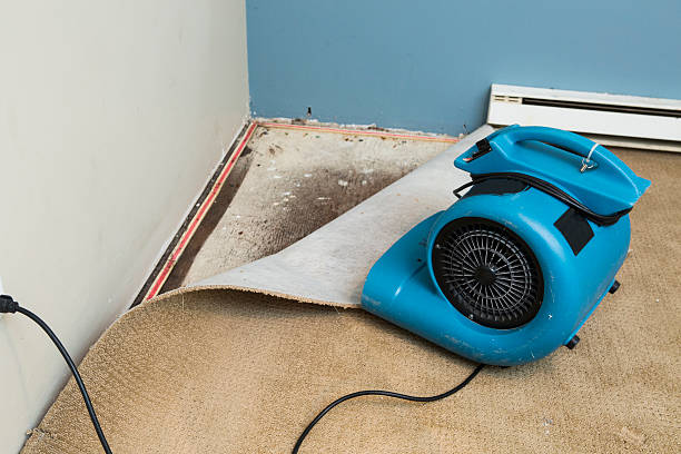 Best Water damage restoration process  in Whispering Pines, NC